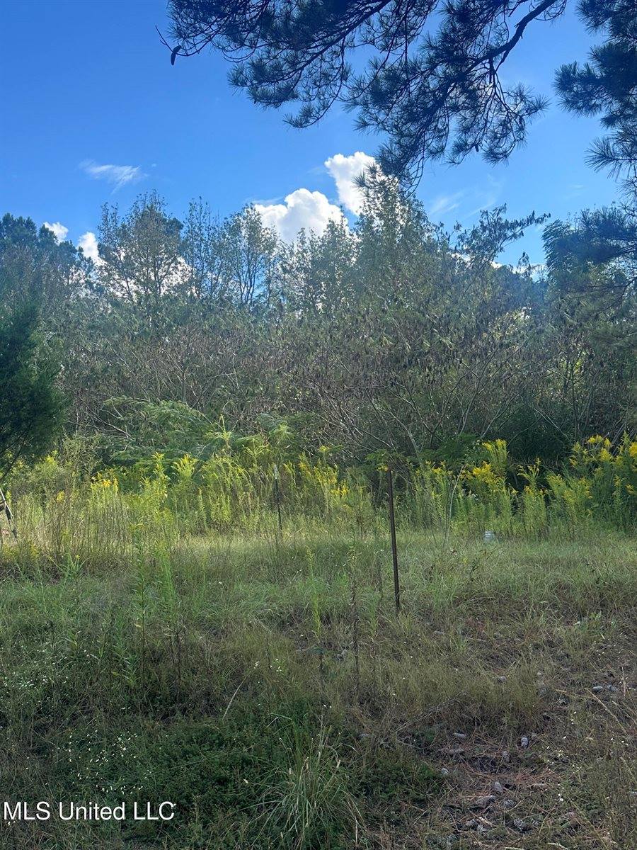 0 North Enoch Grove Road, Florence, MS 39073