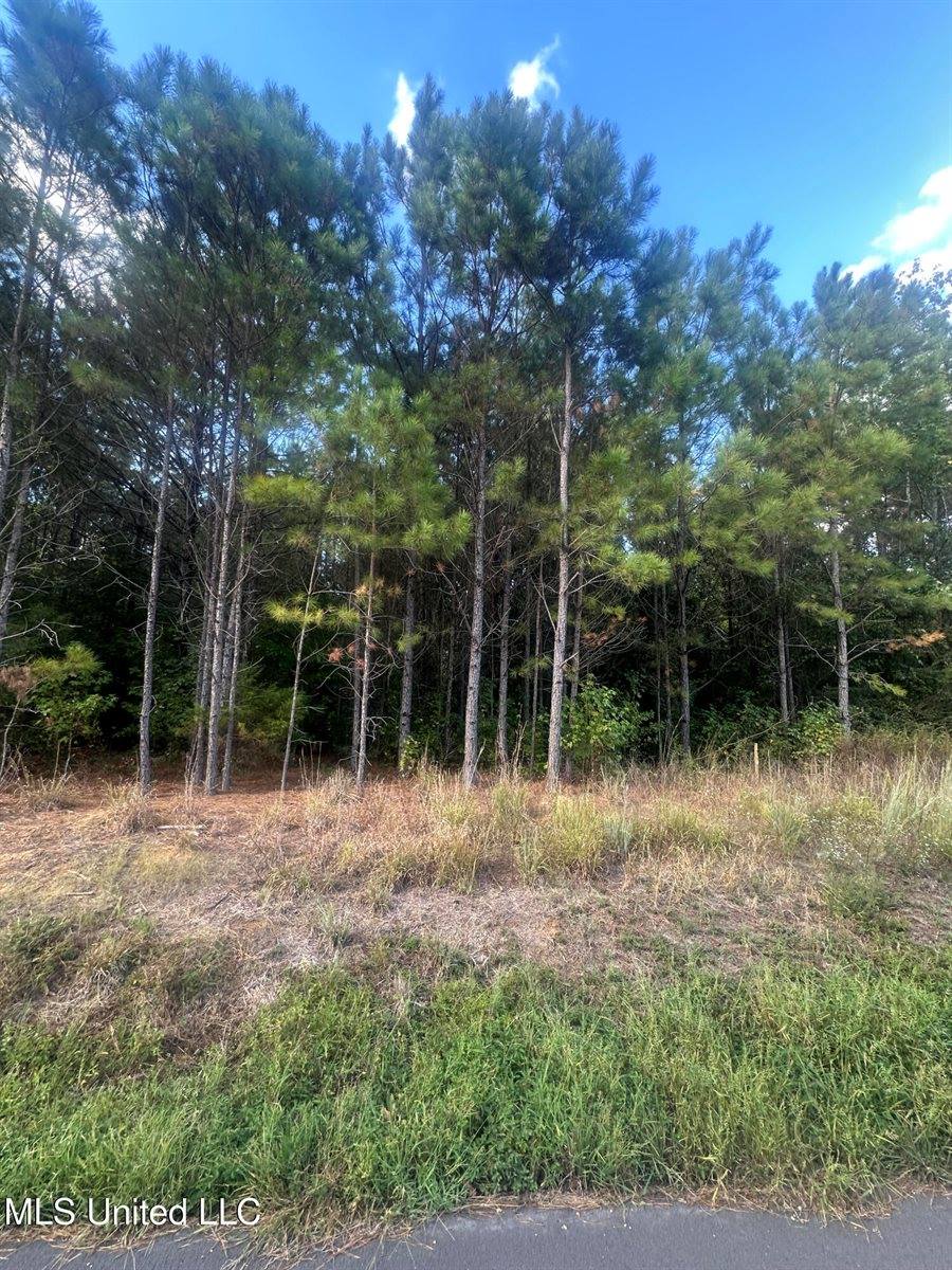 0 North Enoch Grove Road, Florence, MS 39073