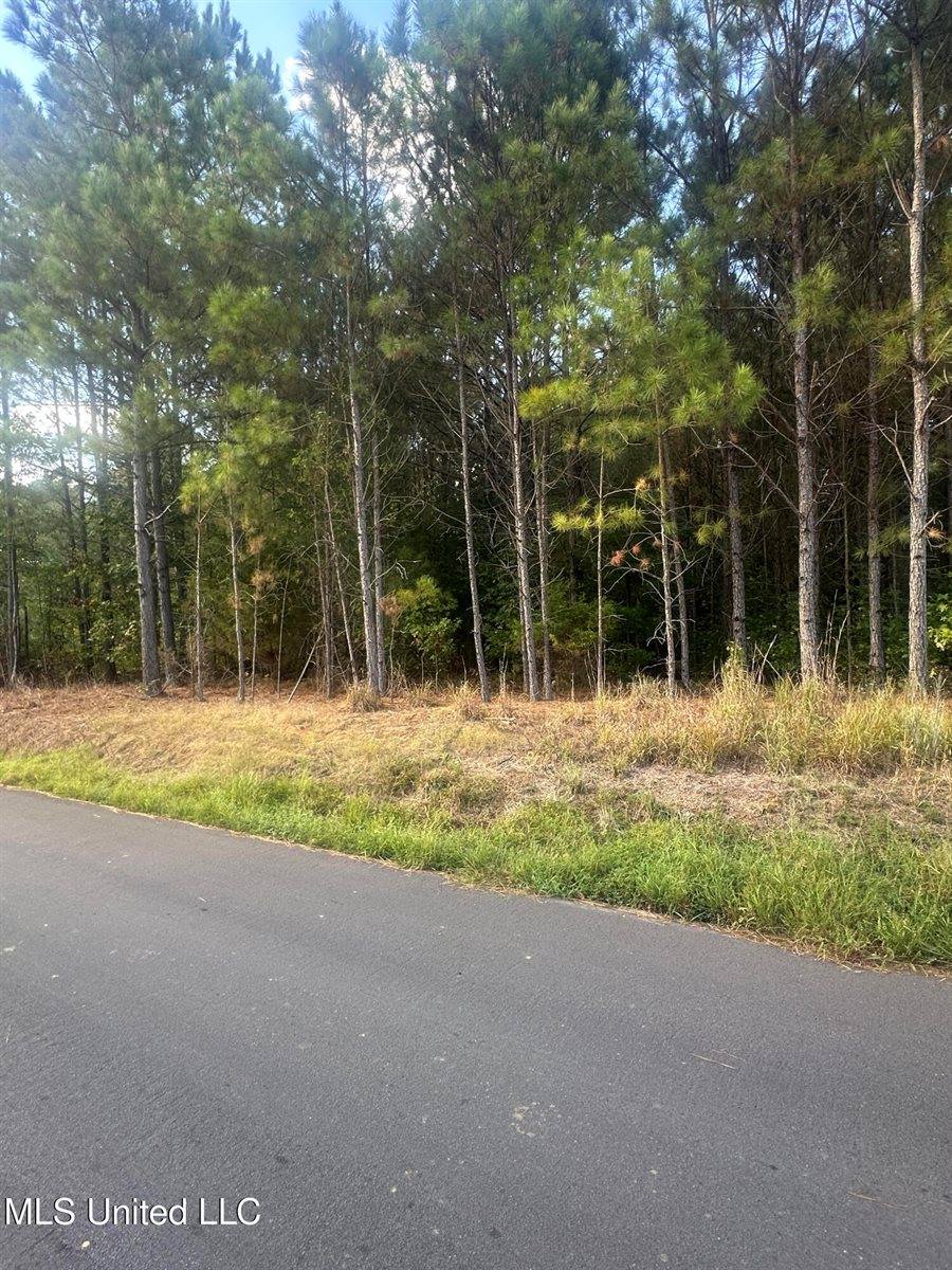 0 North Enoch Grove Road, Florence, MS 39073