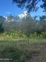 0 North Enoch Grove Road, Florence, MS 39073