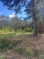 0 North Enoch Grove Road, Florence, MS 39073