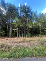 0 North Enoch Grove Road, Florence, MS 39073