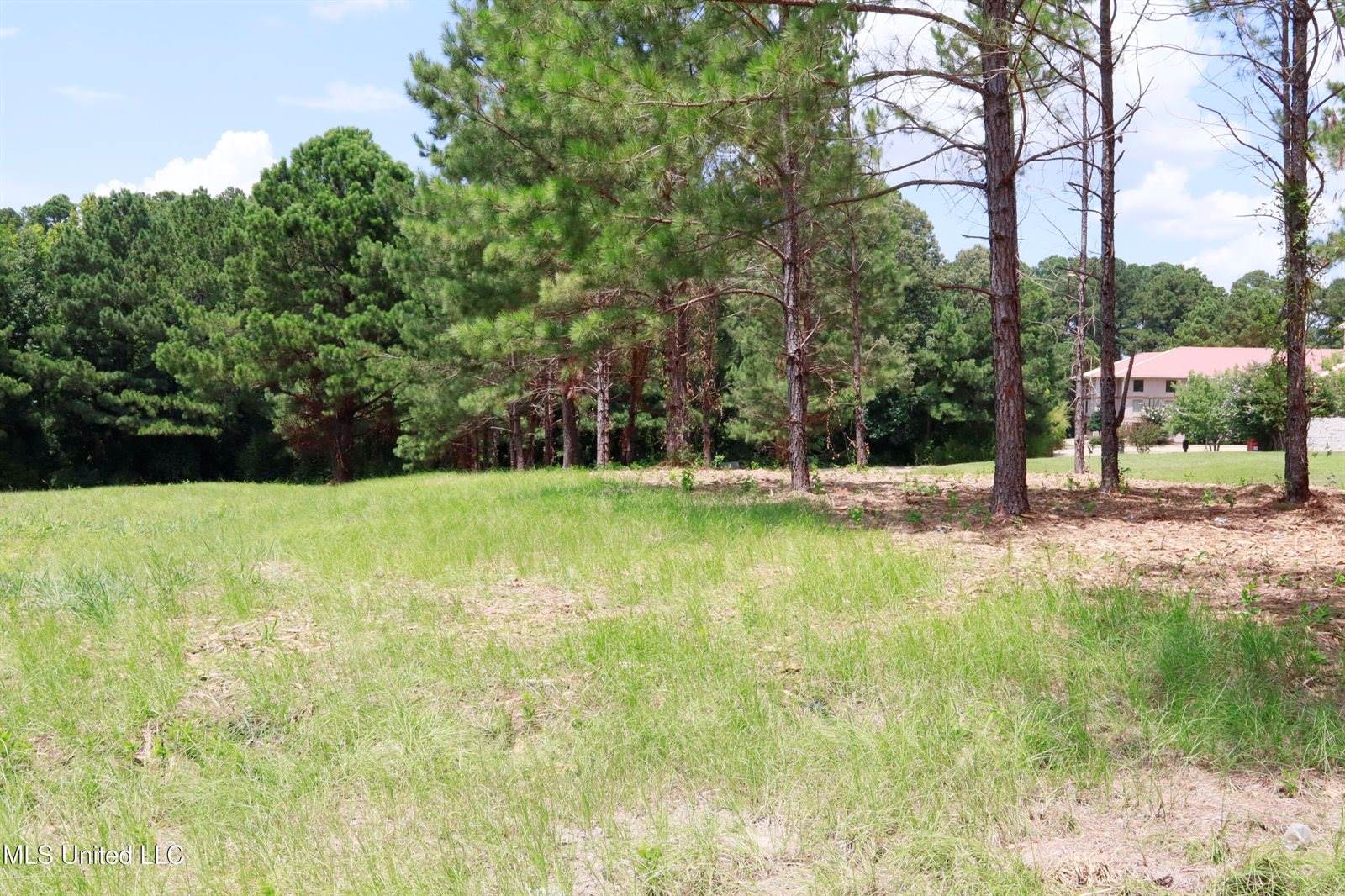 0 Country Place Parkway, Pearl, MS 39208