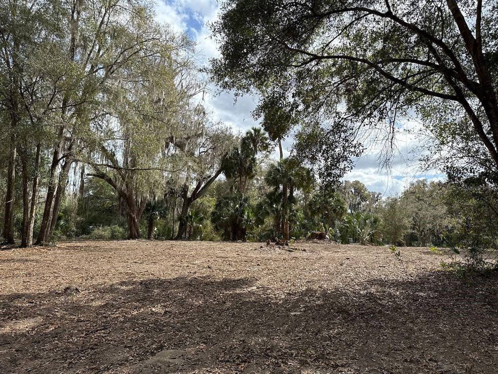 000 NE 184TH Place, Citra, FL 32113