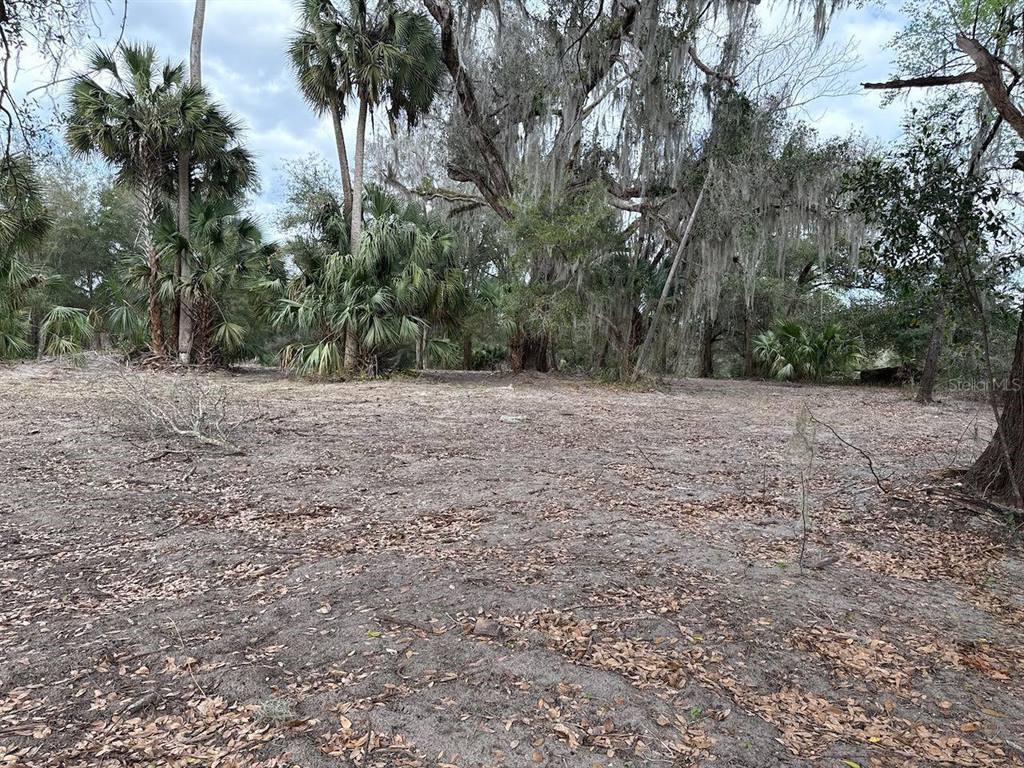 000 NE 184TH Place, Citra, FL 32113