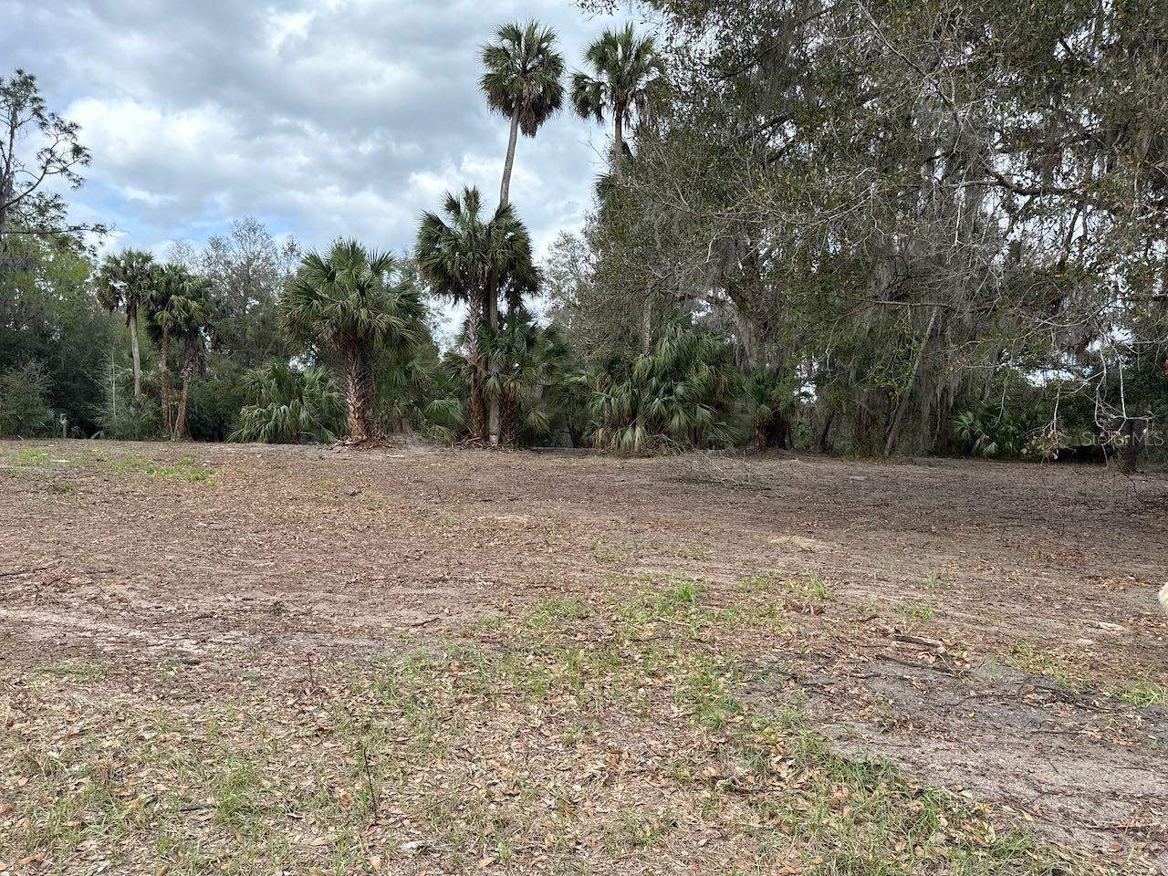 000 NE 184TH Place, Citra, FL 32113
