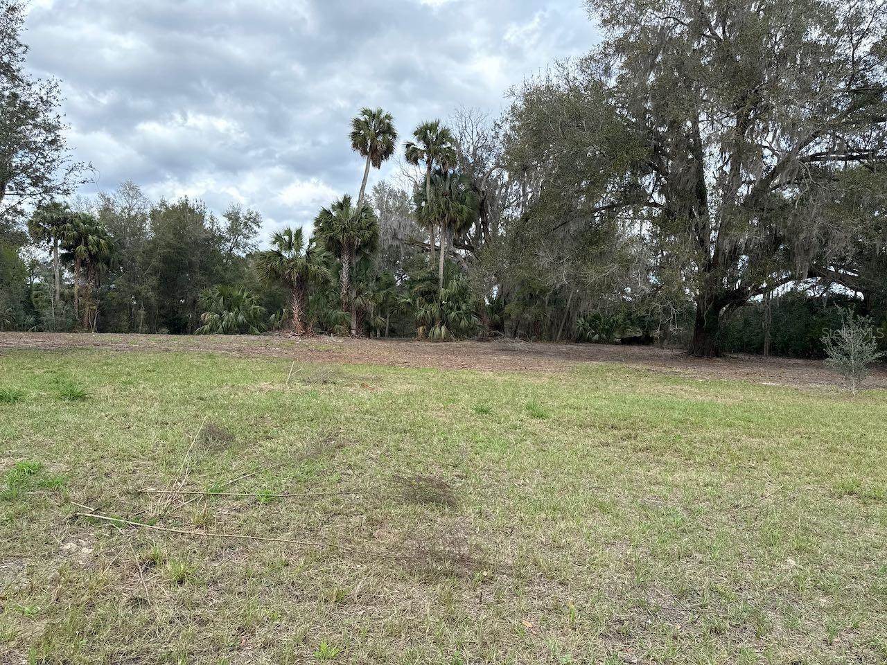 000 NE 184TH Place, Citra, FL 32113
