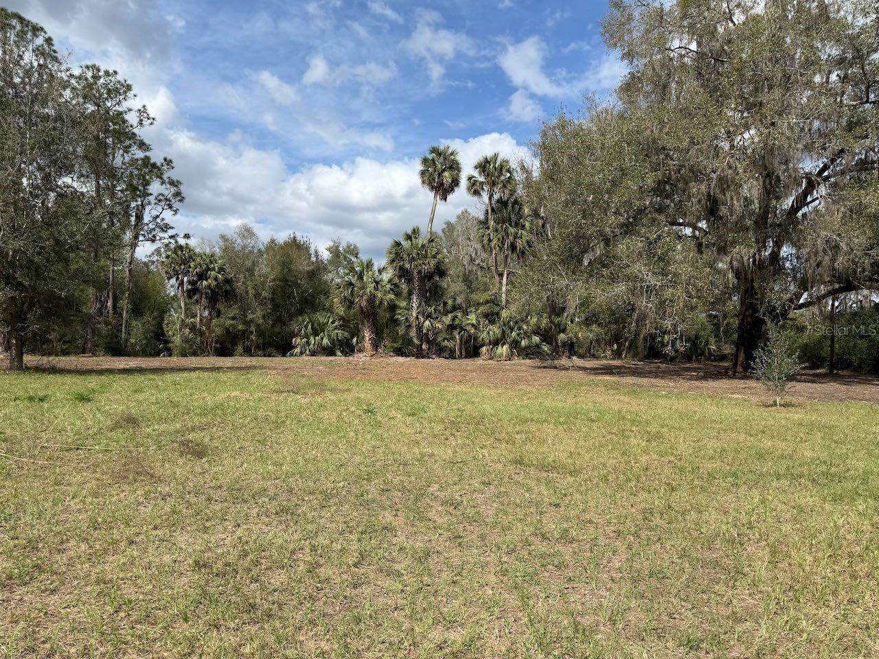 000 NE 184TH Place, Citra, FL 32113