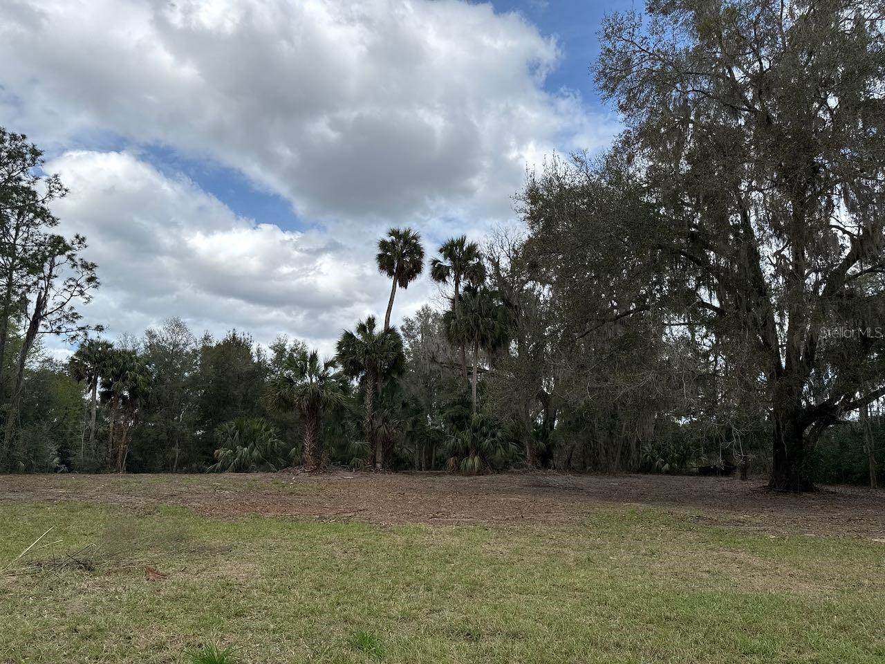 000 NE 184TH Place, Citra, FL 32113