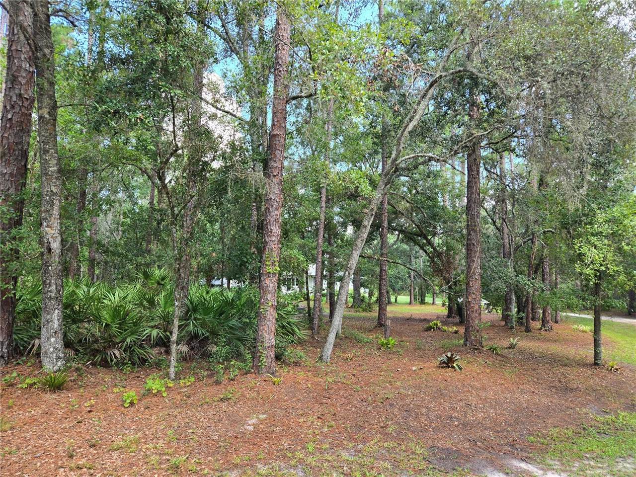1633 Pioneer Drive, Lakeland, FL 33809