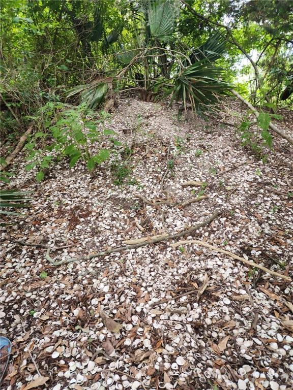 1.40 Acres Vacant Land, Ponchatoula, LA 70454