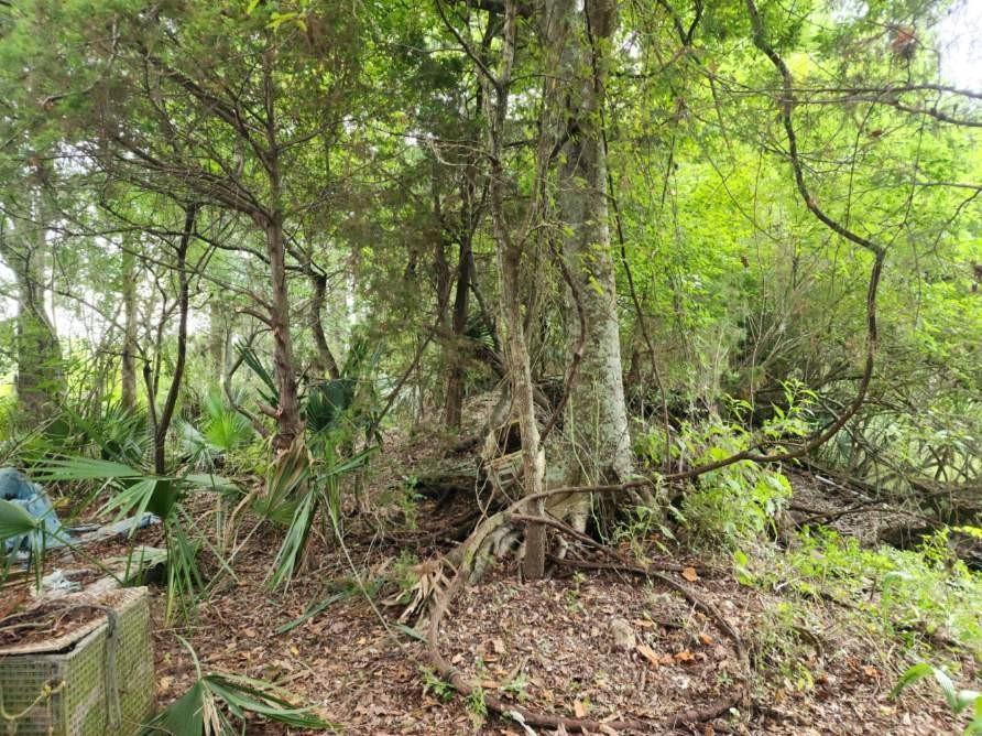 1.40 Acres Vacant Land, Ponchatoula, LA 70454