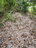 1.40 Acres Vacant Land, Ponchatoula, LA 70454