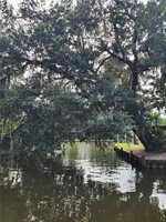 1.40 Acres Vacant Land, Ponchatoula, LA 70454