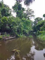 1.40 Acres Vacant Land, Ponchatoula, LA 70454