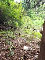 1.40 Acres Vacant Land, Ponchatoula, LA 70454