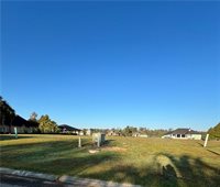 21549 Dolphin Court, Springfield, LA 70462