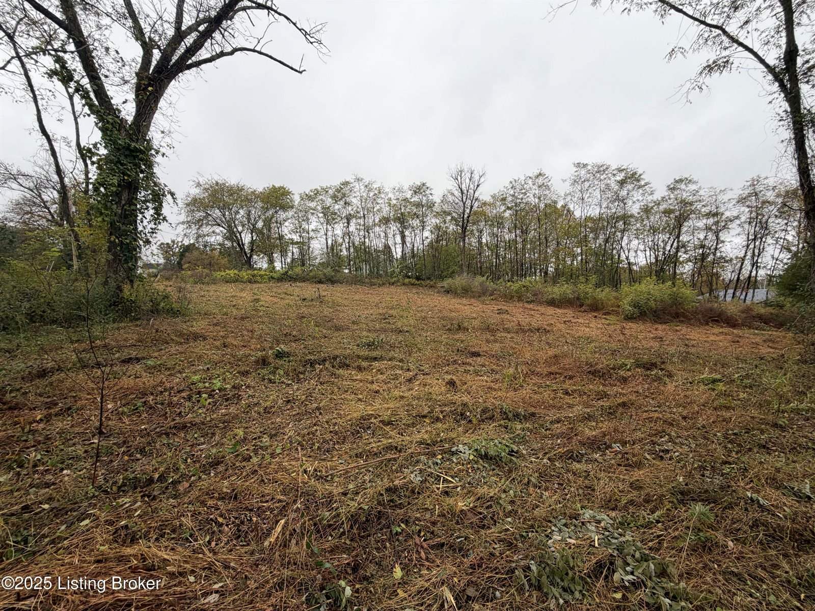 28 Freesia Ct, Brandenburg, KY 40108