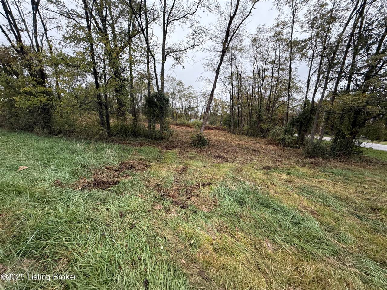 28 Freesia Ct, Brandenburg, KY 40108