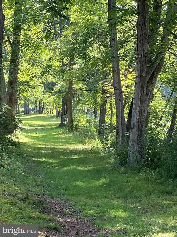 100 Bubbling Spring Road, Capon Bridge, WV 26711