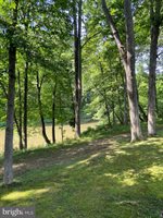 100 Bubbling Spring Road, Capon Bridge, WV 26711