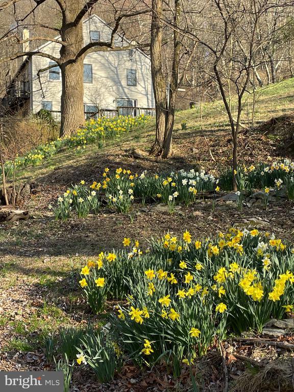 236 Piedmont Orchard Road, Linden, VA 22642