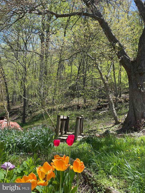 236 Piedmont Orchard Road, Linden, VA 22642