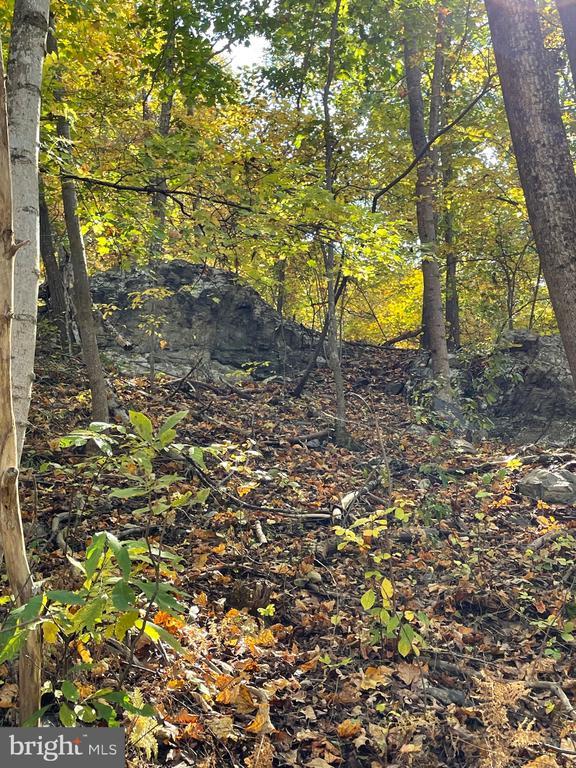 236 Piedmont Orchard Road, Linden, VA 22642