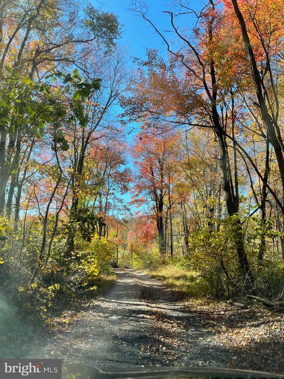 236 Piedmont Orchard Road, Linden, VA 22642