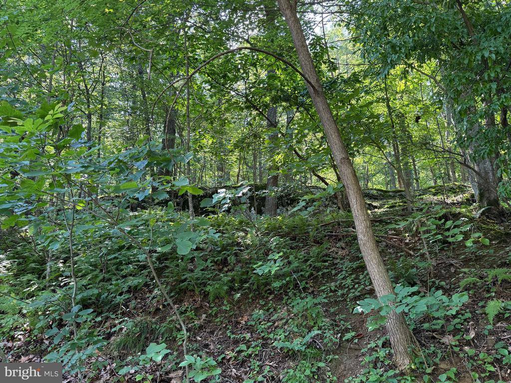 236 Piedmont Orchard Road, Linden, VA 22642