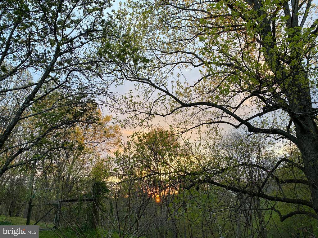 236 Piedmont Orchard Road, Linden, VA 22642