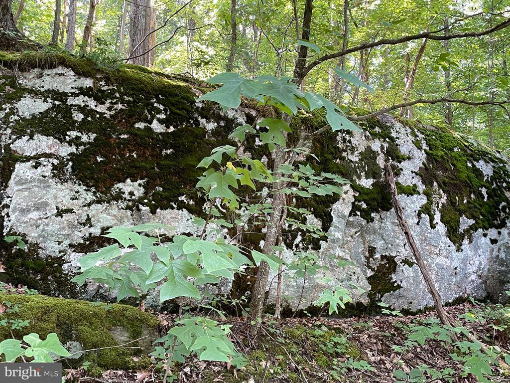 236 Piedmont Orchard Road, Linden, VA 22642