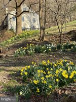 236 Piedmont Orchard Road, Linden, VA 22642