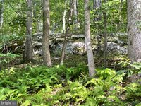 236 Piedmont Orchard Road, Linden, VA 22642