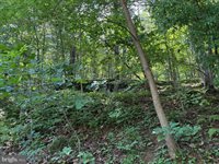 236 Piedmont Orchard Road, Linden, VA 22642