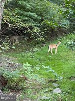 236 Piedmont Orchard Road, Linden, VA 22642