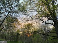 236 Piedmont Orchard Road, Linden, VA 22642