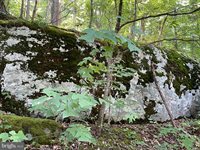 236 Piedmont Orchard Road, Linden, VA 22642