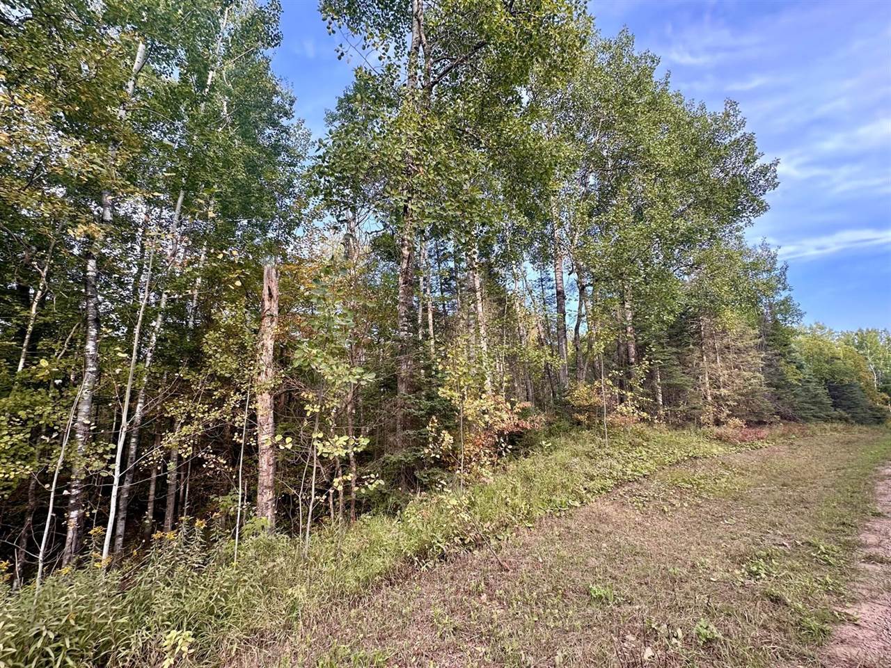 TBD Old Vermillion Trail, Gnesen Township, MN 55803