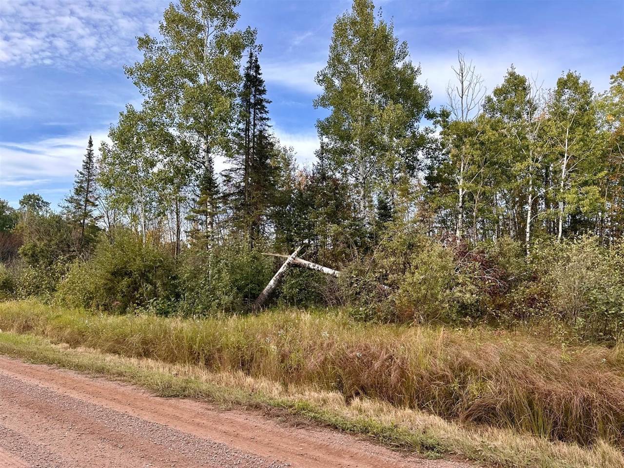 TBD Old Vermillion Trail, Gnesen Township, MN 55803