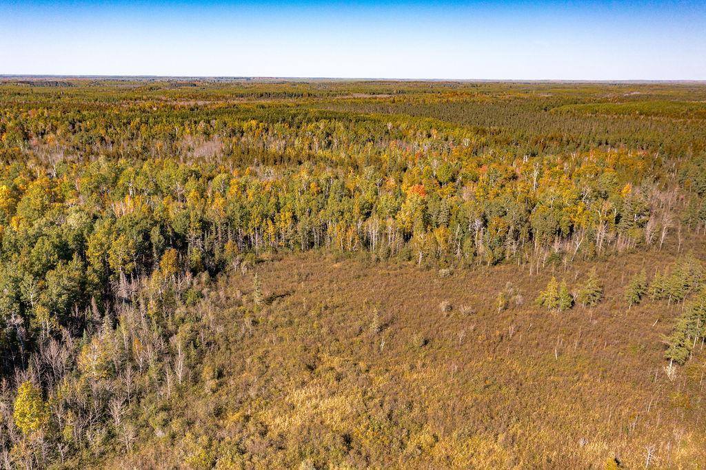 TBD Old Vermillion Trail, Gnesen Township, MN 55803
