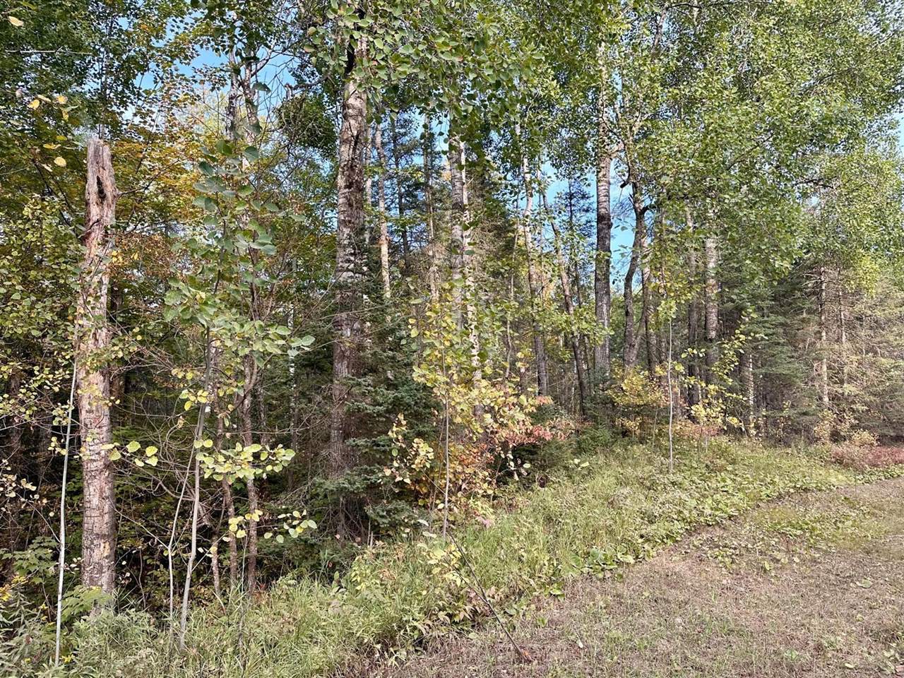 TBD Old Vermillion Trail, Gnesen Township, MN 55803