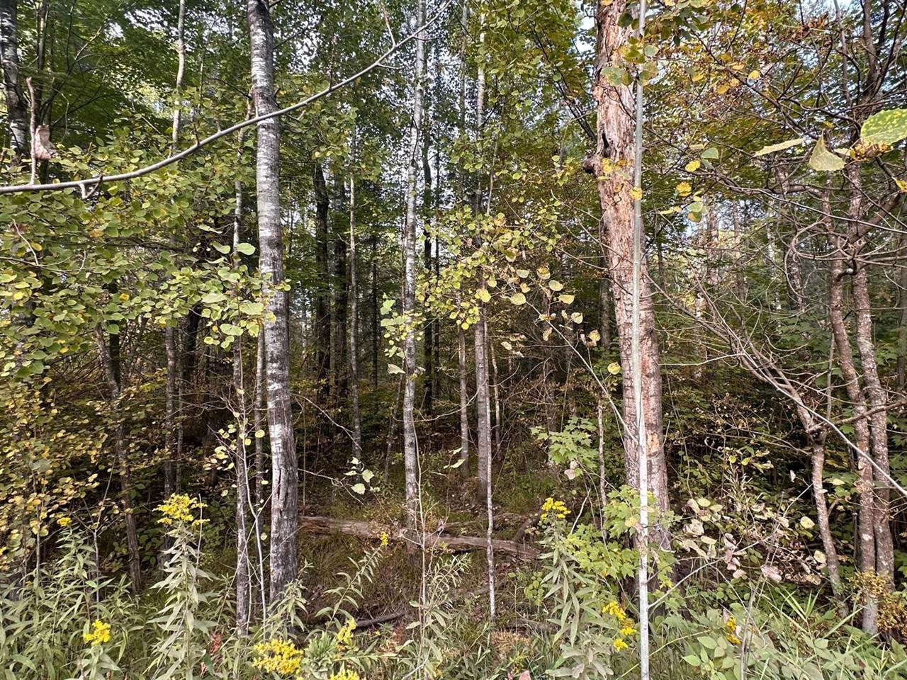 TBD Old Vermillion Trail, Gnesen Township, MN 55803