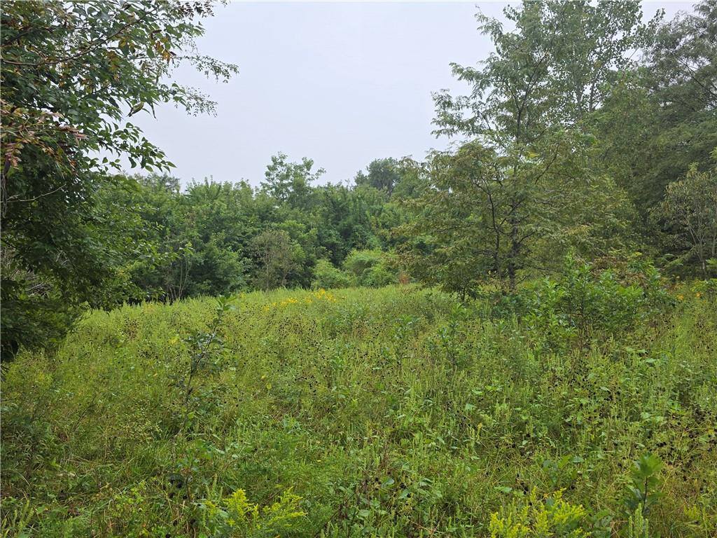 12005 NE County Road 8003 N/A, Adrian, MO 64720