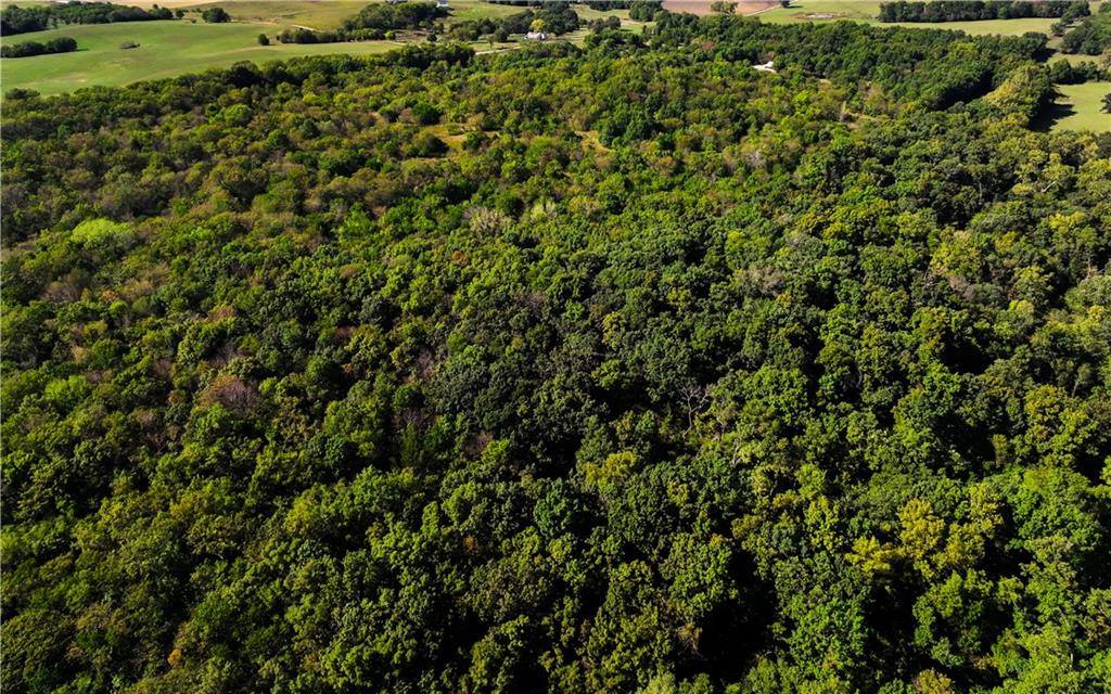 12005 NE County Road 8003 N/A, Adrian, MO 64720