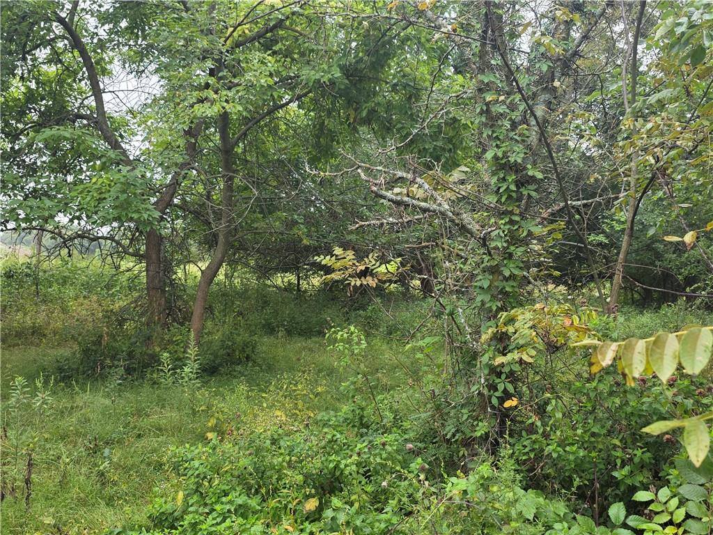 12005 NE County Road 8003 N/A, Adrian, MO 64720