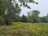 12005 NE County Road 8003 N/A, Adrian, MO 64720