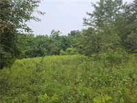 12005 NE County Road 8003 N/A, Adrian, MO 64720