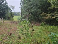 12005 NE County Road 8003 N/A, Adrian, MO 64720