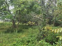 12005 NE County Road 8003 N/A, Adrian, MO 64720